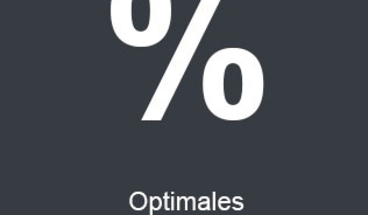 optimalales Preis-Leistungs-Verhältnis